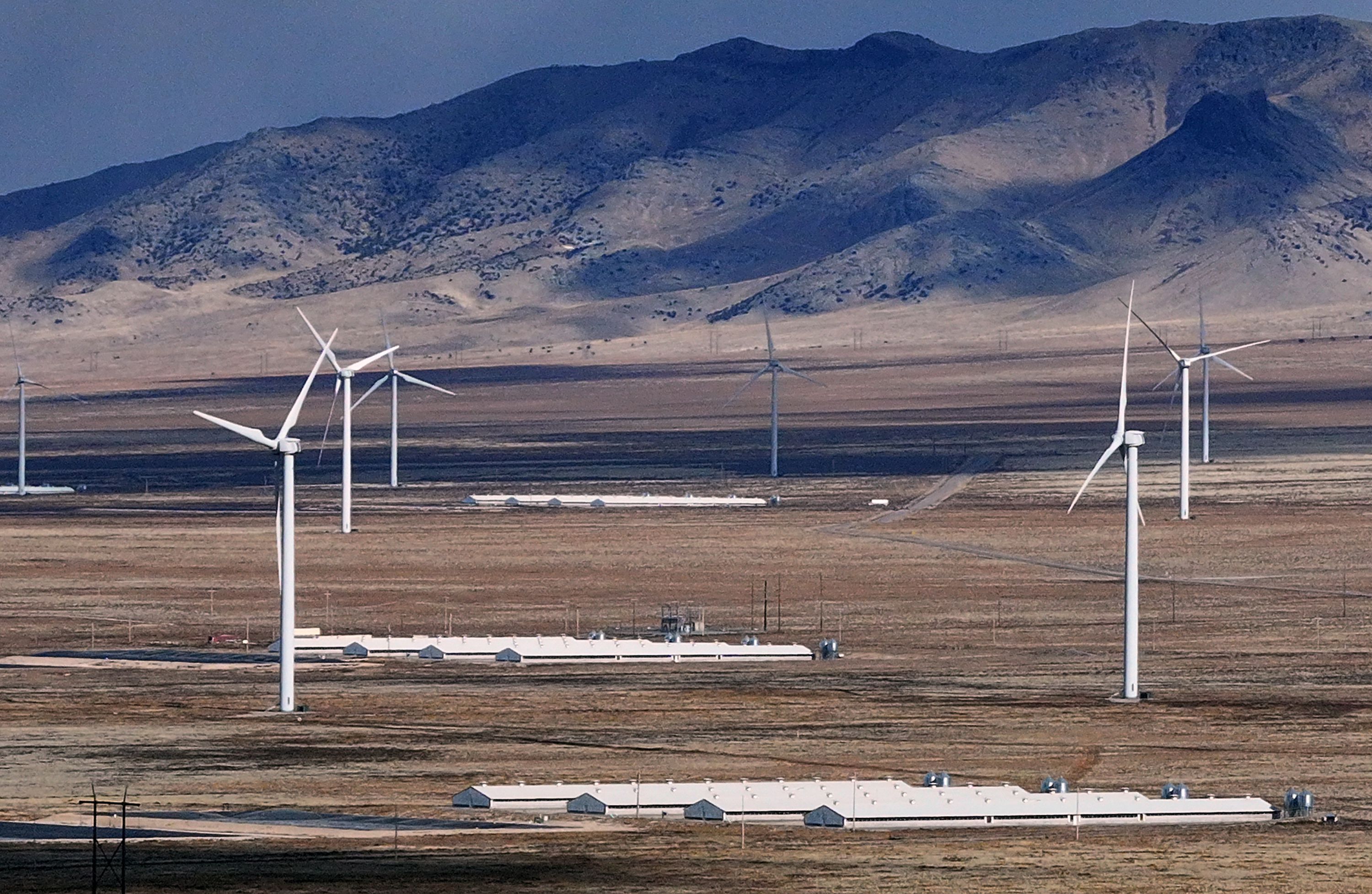 Buildings used to raise hogs owned by Smithfield Foods in Milford on Friday. Smithfield Foods is ending its relationship with more than two dozen hog farms in Beaver County. Hog farming is the No. 1 employer in this rural area of Utah.