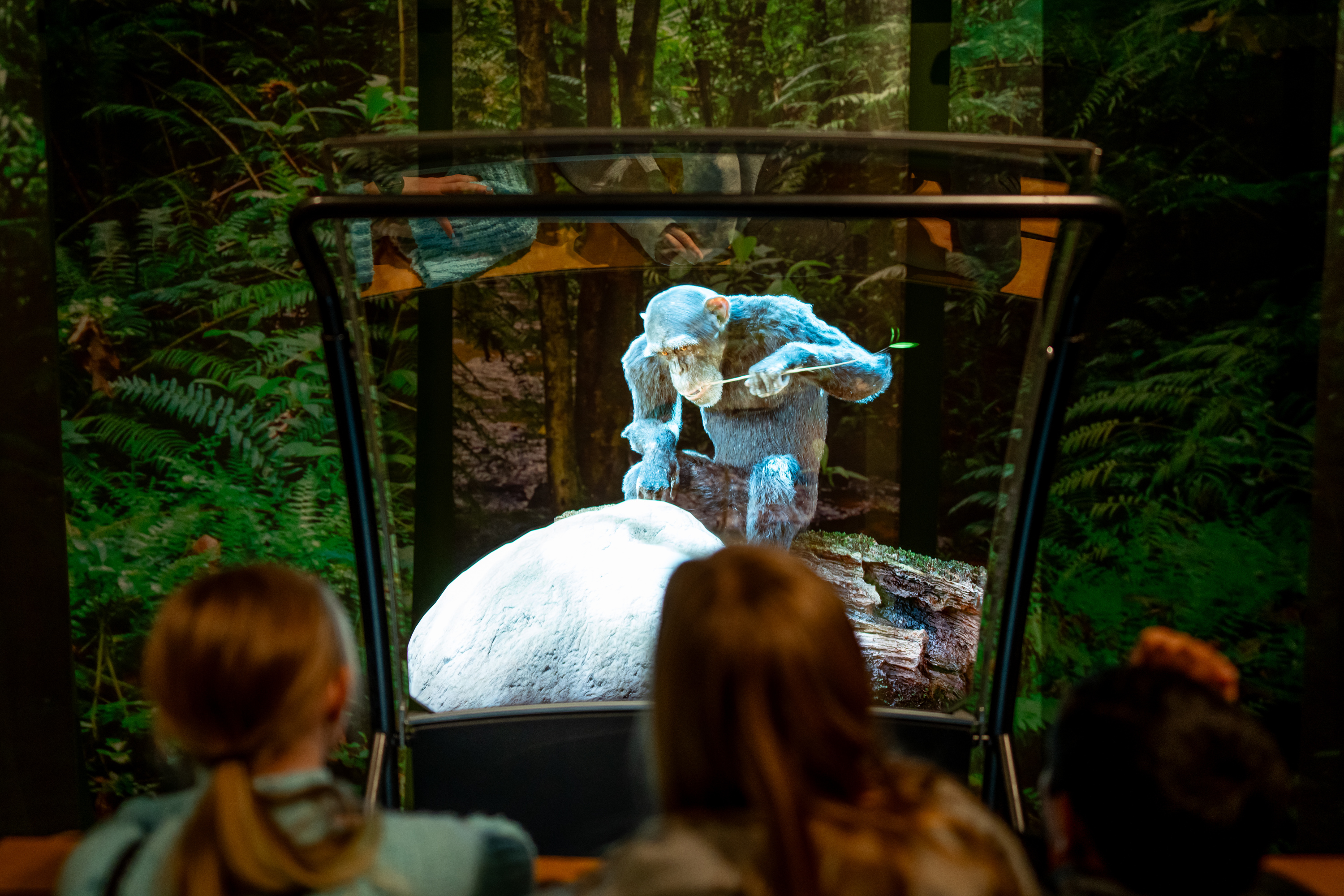 Young guests explore the new exhibit “Becoming Jane: The Evolution of Dr. Jane Goodall” at the Natural History Museum of Utah in Salt Lake City on Saturday.