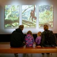 Step into Jane Goodall's shoes at an interactive exhibition at the Natural History Museum of Utah