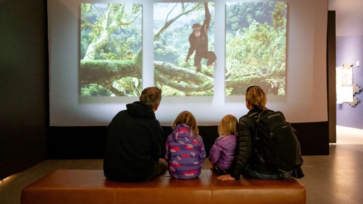 Shane and Kelly and their children Quinn, 6, and Neeve, 2, watch a video while touring the new exhibit “Becoming Jane: The Evolution of Dr. Jane Goodall” at the Natural History Museum of Utah in Salt Lake City on Saturday.