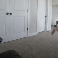 Utah teen wins $10K in trick-shot contest with insane 'backflip bull's-eye'