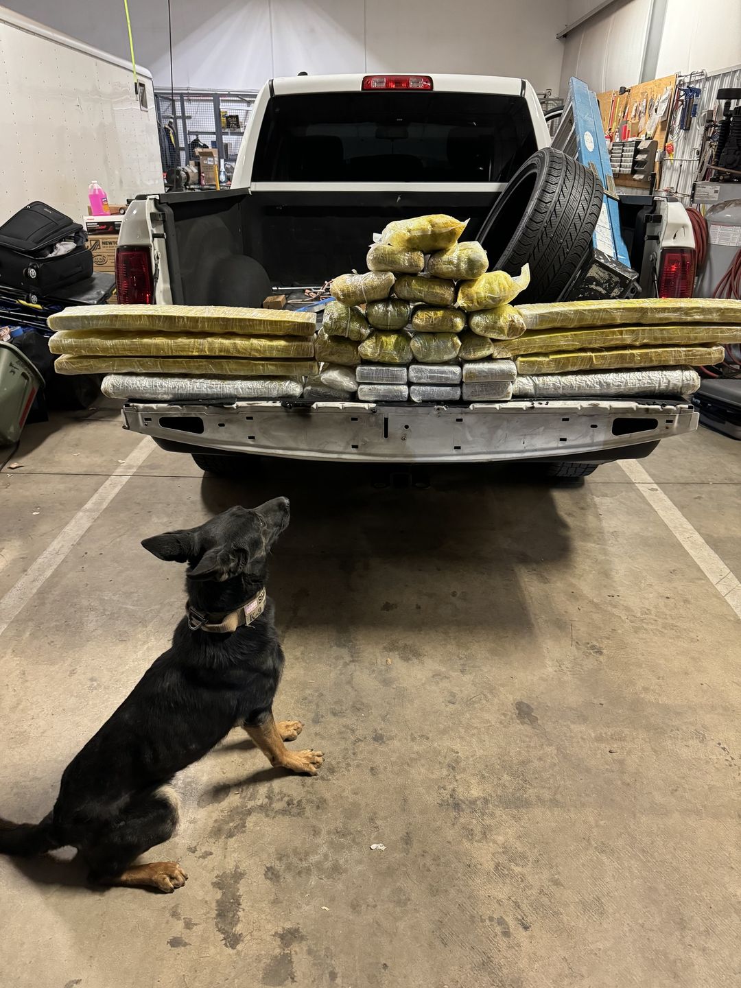 Police K-9 Zora helped Grand County sheriff's deputies find approximately 120 pounds of methamphetamine, cocaine and fentanyl pills during a traffic stop for a minor violation on Monday.