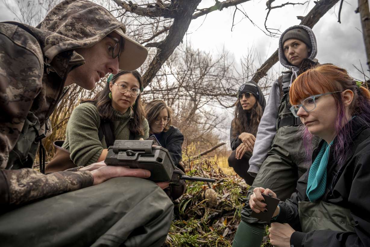 Students from Weber State University’s College of Science set up cameras along the Weber River in Morgan County on Nov. 18 as part of a project to monitor river otter populations.