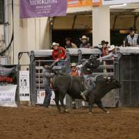 Against all odds, former PRCA bronc rider Braxten Nielsen walking, rodeoing again