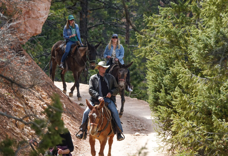 Bryce Canyon National Park announces public input sought on changes to rules regarding private horseback riding. Riders are seen in an undated photo.