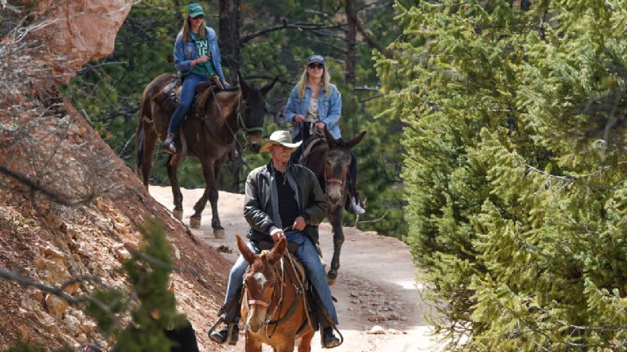 Bryce Canyon National Park announces public input sought on changes to rules regarding private horseback riding. Riders are seen in an undated photo.