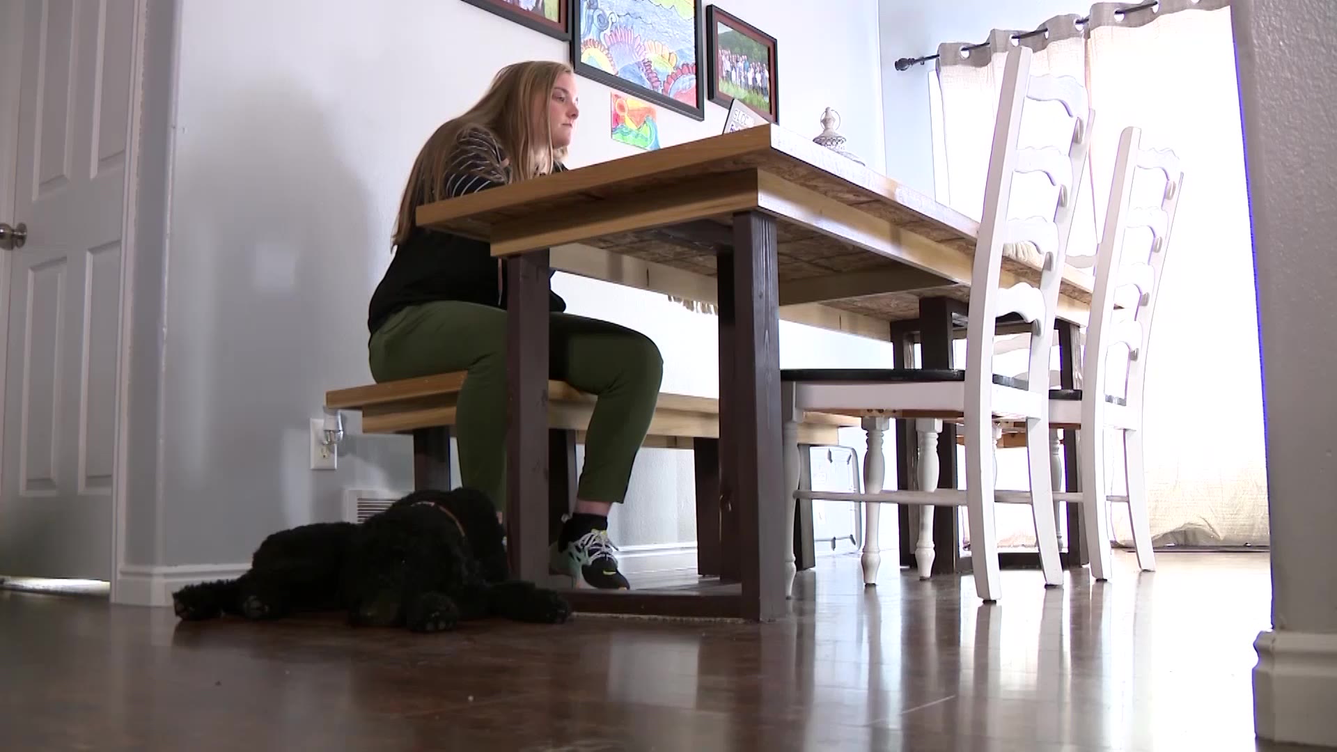 Sophia Couzins goes everywhere with her Goldendoodle, Winnie.