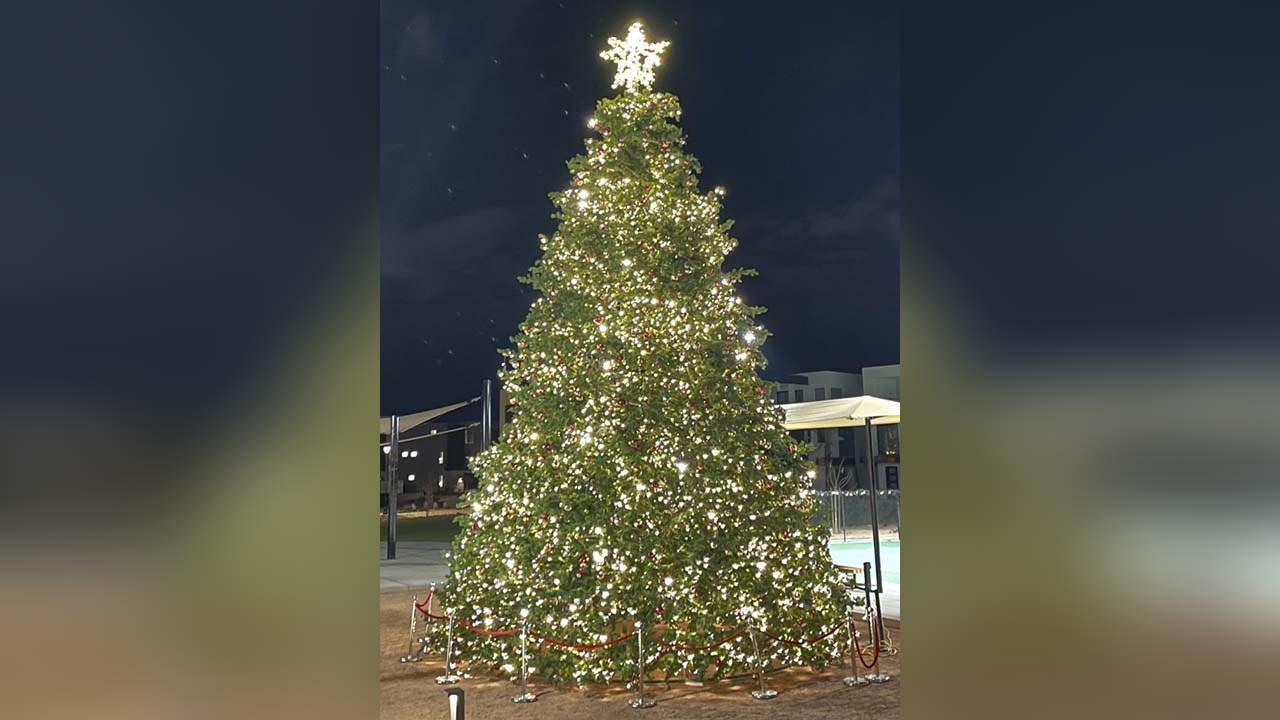 The Desert Color Christmas tree stands 40 feet high and 30 feet in diameter, and the star on top measures 4-by-4 feet, Dec. 1.