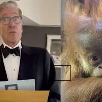 Have You Seen This? Maury Povich reveals father of Denver Zoo orangutan