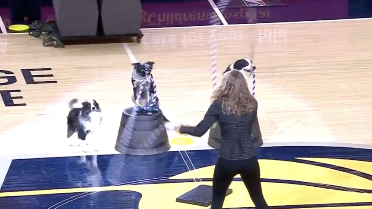 Swiffer the dog getting to jump rope durining an Indiana Pacers game this week.