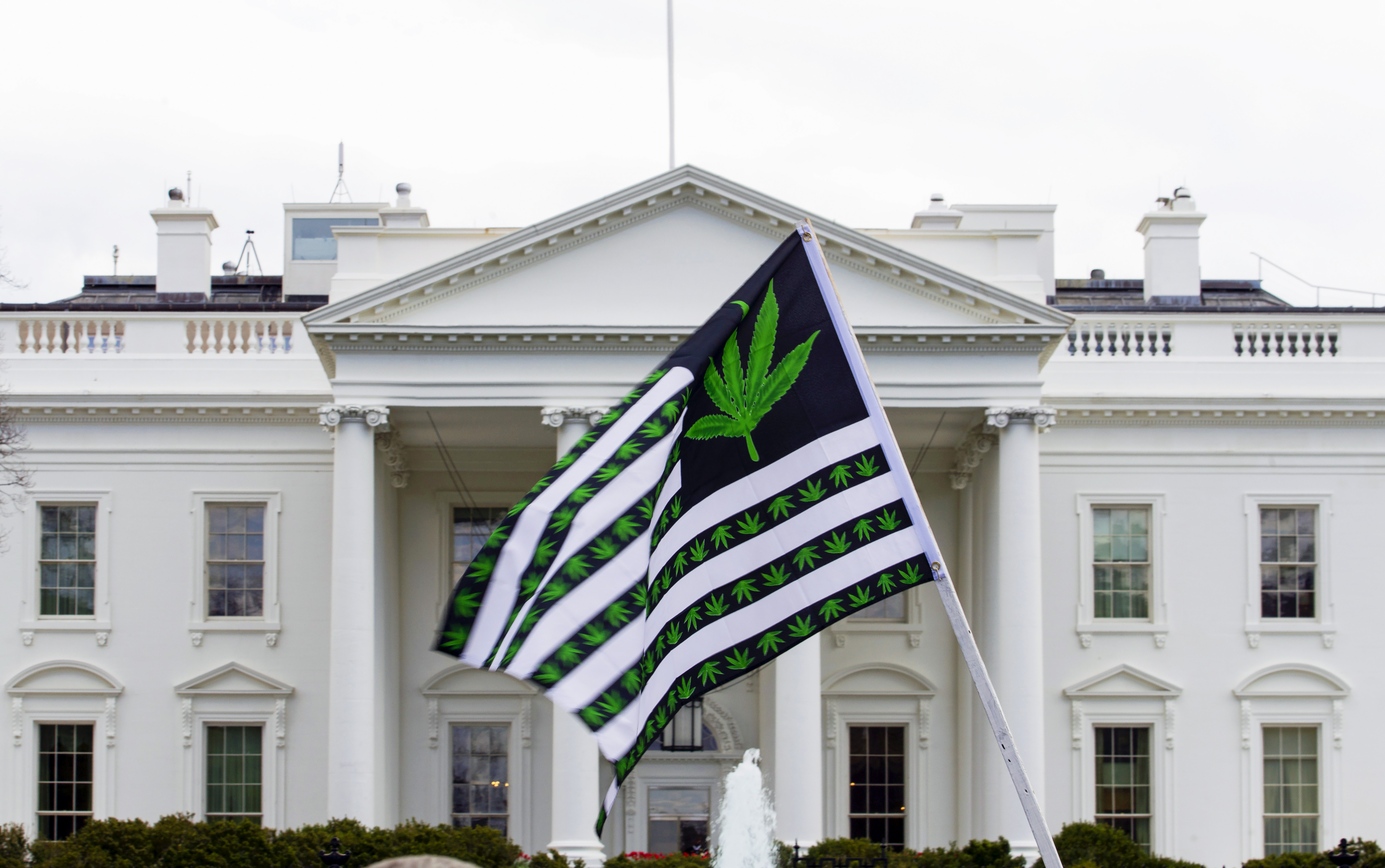 A flag with marijuana leaves waves during a protest calling for the legalization of marijuana, outside of the White House on April 2, 2016, in Washington. President Joe Biden is pardoning thousands convicted of marijuana charges on federal lands. 