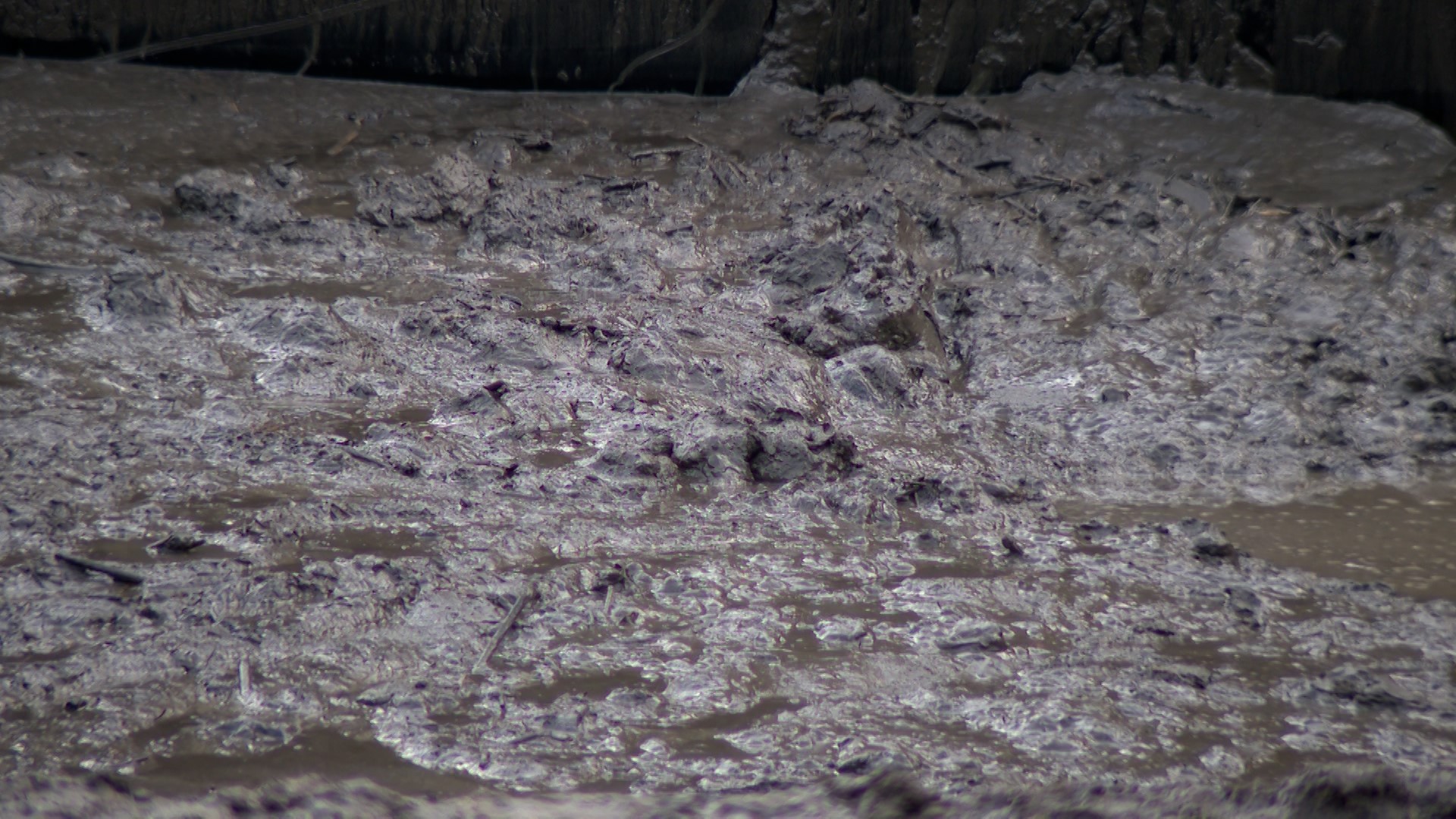 Tons of sediment cleared from Logan River to protect power generators