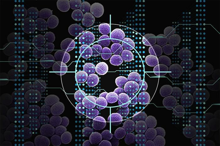 Using a type of artificial intelligence known as deep learning, MIT researchers have discovered a class of compounds that can kill a drug-resistant bacterium that causes more than 10,000 deaths in the United States every year.