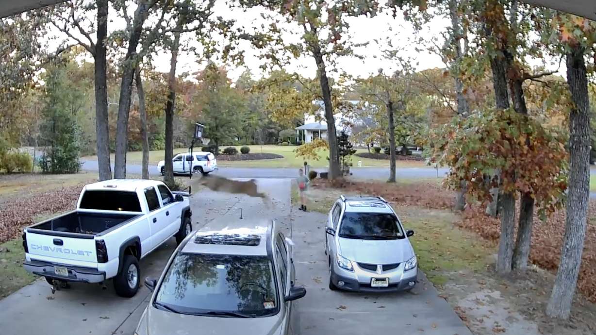 Leaping deer damages truck bed during sale.