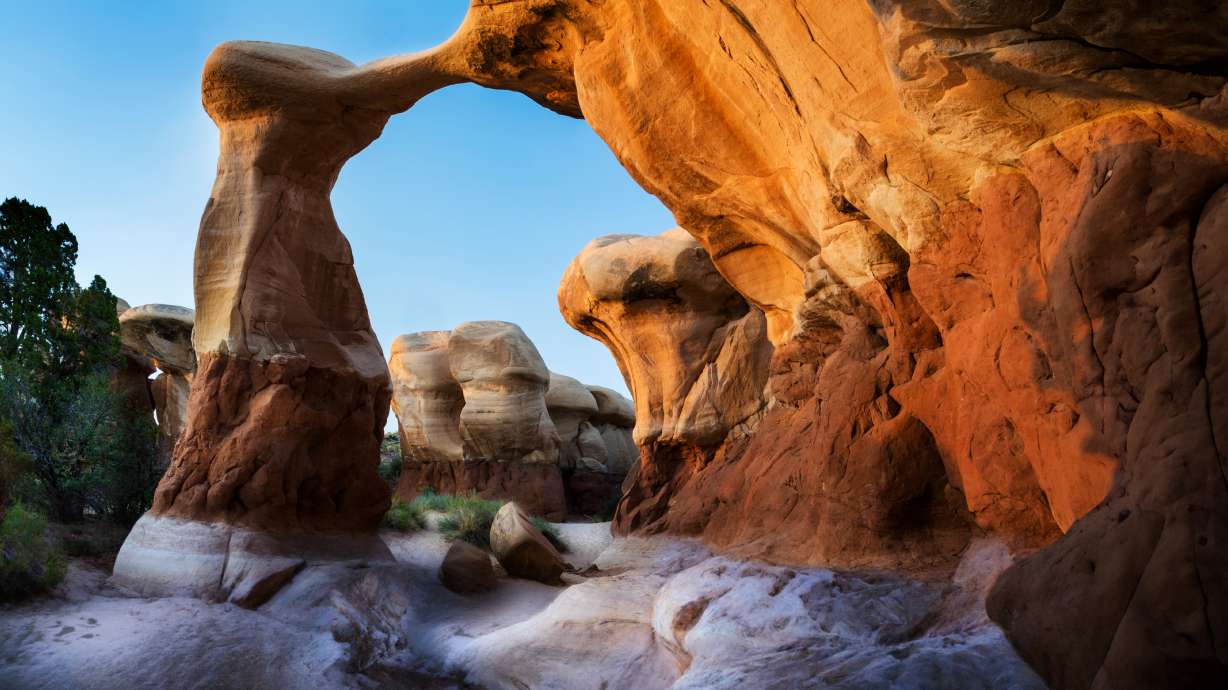 Feeling trapped? Climbing the walls? Puzzled out? We have the cure.