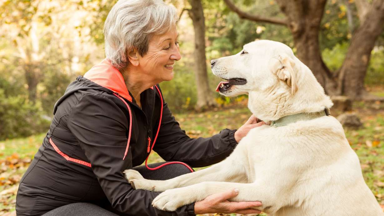 A recent study has found that older adults who live alone can benefit from having pets. Pet ownership may slow cognitive decline.