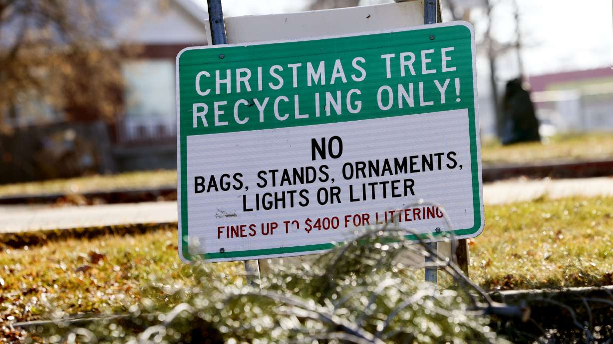 A Christmas tree drop-off location is pictured in West Valley City Park in West Valley City on Friday. Some Utah cities are offering options for Christmas tree recycling.