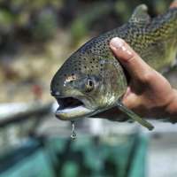 Interior redefines 'harm' under Endangered Species Act