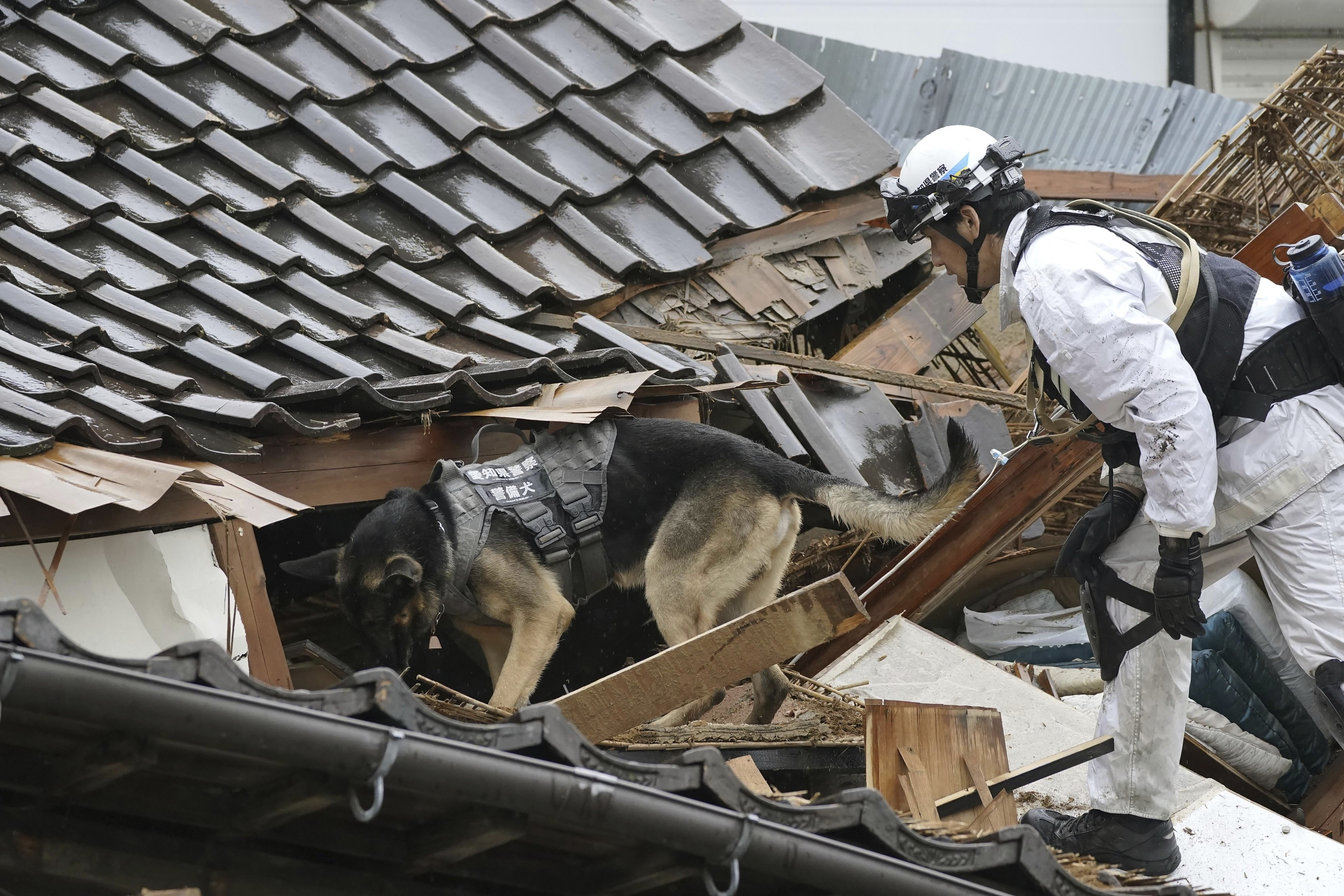 A police officer and a canine dog search a collapsed house following earthquakes in Wajima, Ishikawa prefecture, Japan, Wednesday.