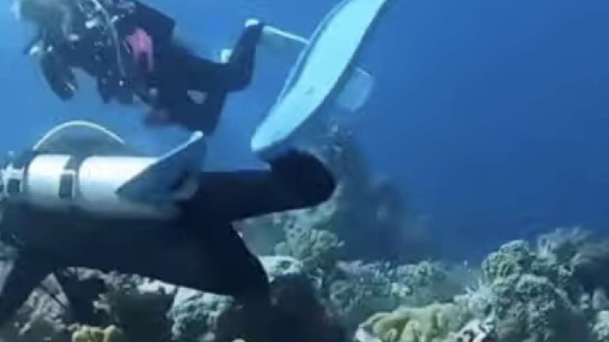 Scuba divers off the coast of Indonesia witnessed the effects of an earthquake underwater on Nov. 8, 2023.