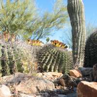 Despite growth, southern Utah used less water last year