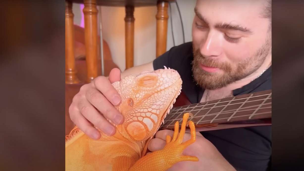 New York-based artist Alexey Kashpersky plays guitar to wake up his blind iguana every morning.