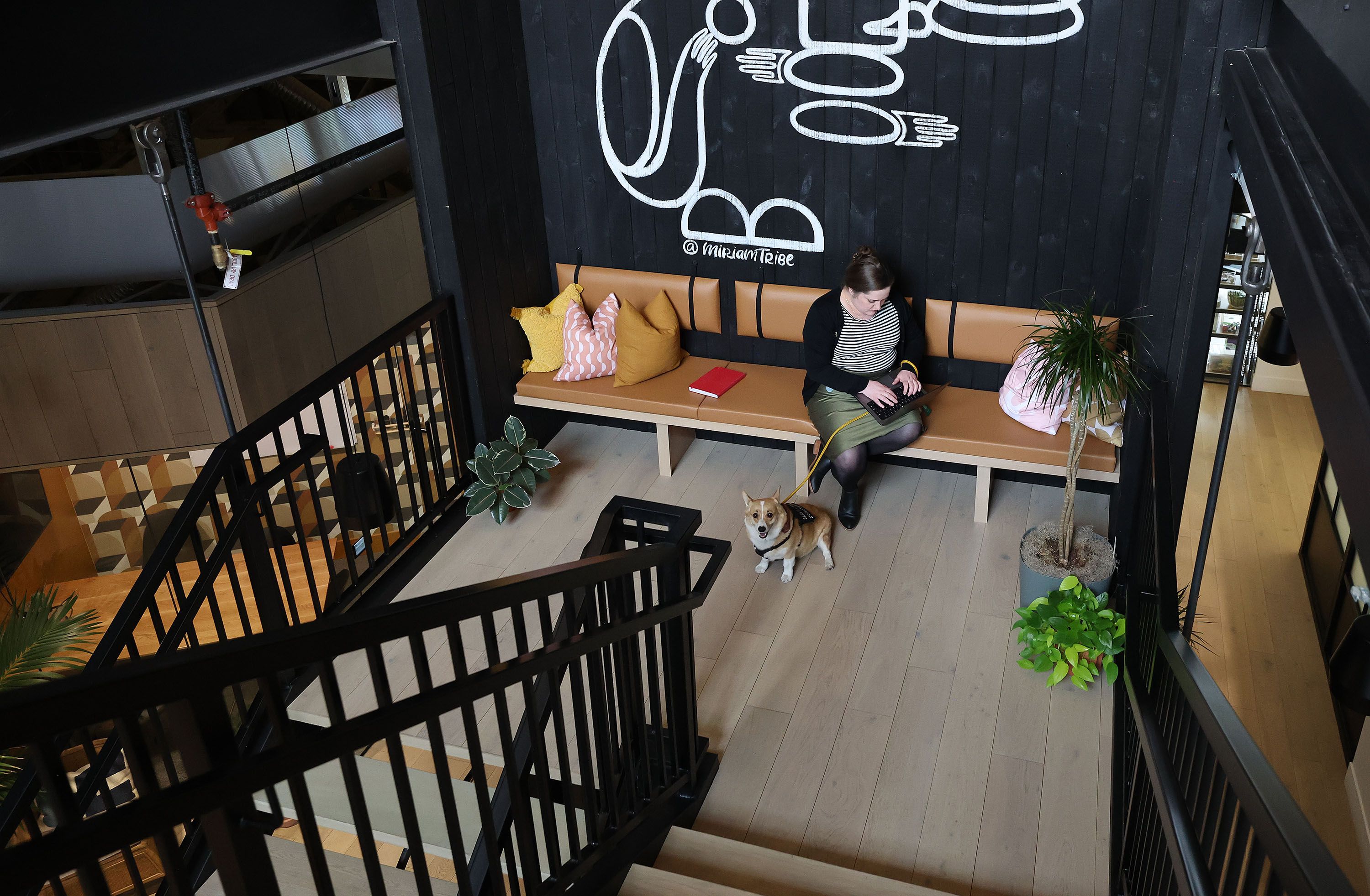 Kathleen Sykes works with her service dog, Jefferson, at her office at Kiln in Salt Lake City on Jan. 5. Because of a back injury to Sykes, Jefferson has been trained to retrieve items for her, among other tasks.