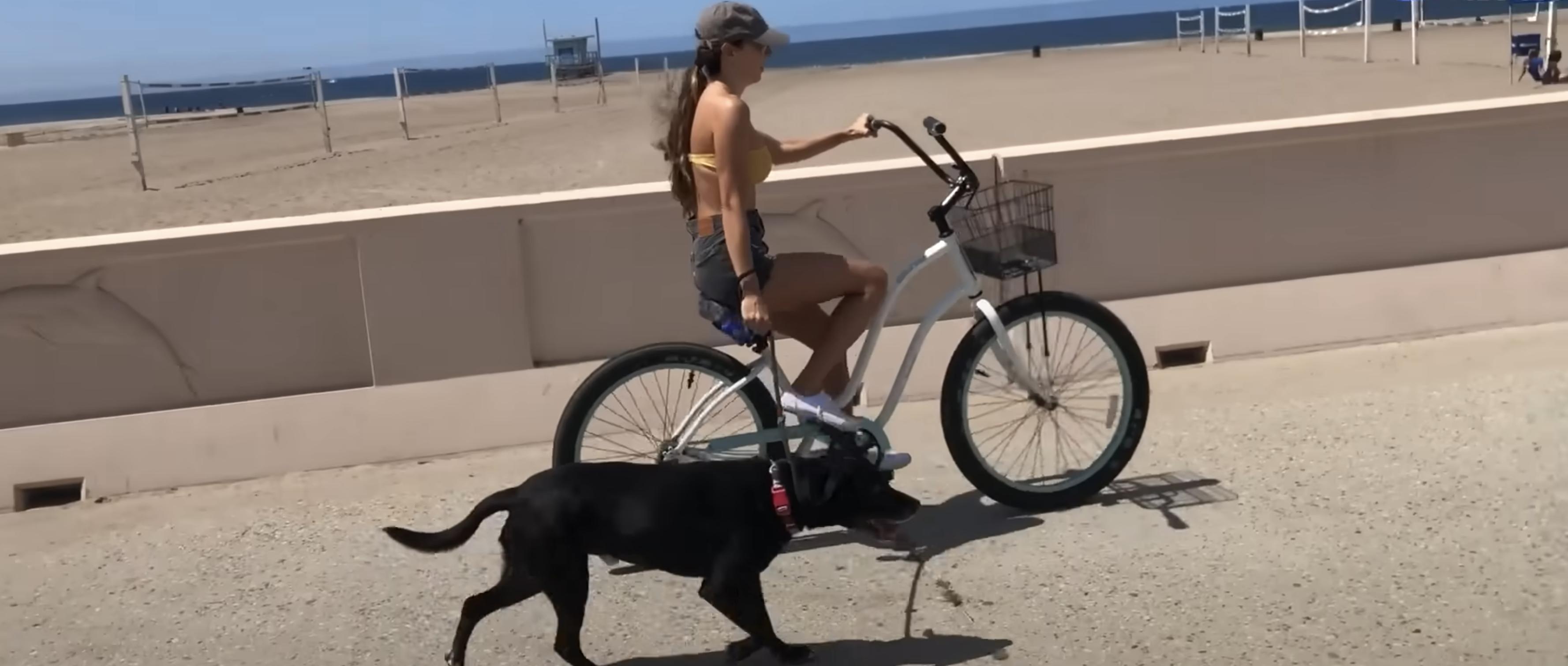 Jess and Boomer enjoy a bike ride near a beach. For four years, Boomer the dog was confined to running (more like spinning) in circles in his extremely small shelter kennel — until Jess saw a video of him and knew she had to help the energetic pup.