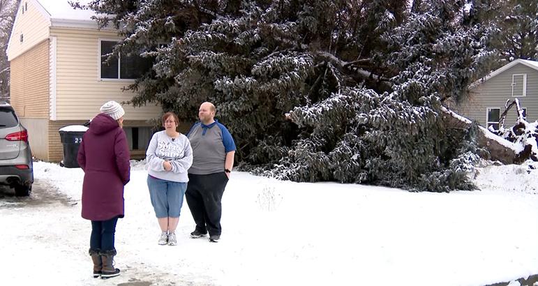 Peggy Redington said no one was hurt when the tree fell onto the roof of her home.