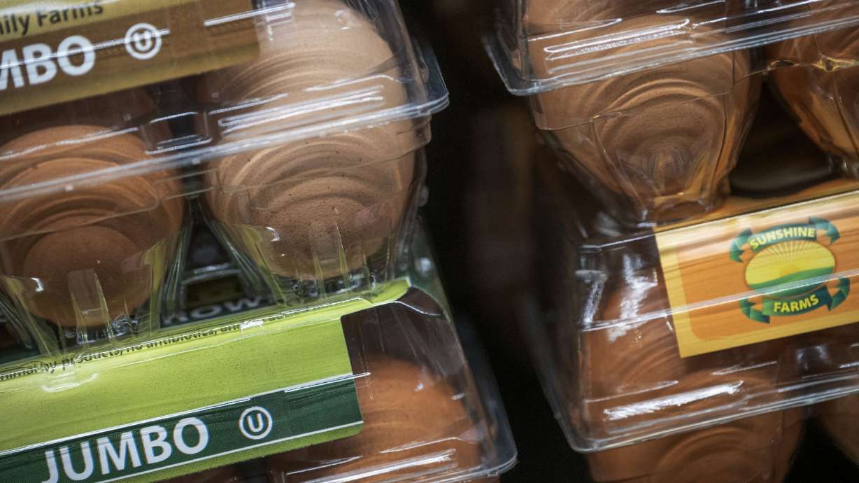 Eggs and ham prices went up the most in December, while overall food prices continued to register modest price increases, according to the Bureau of Labor Statistics’ latest Consumer Price Index report.