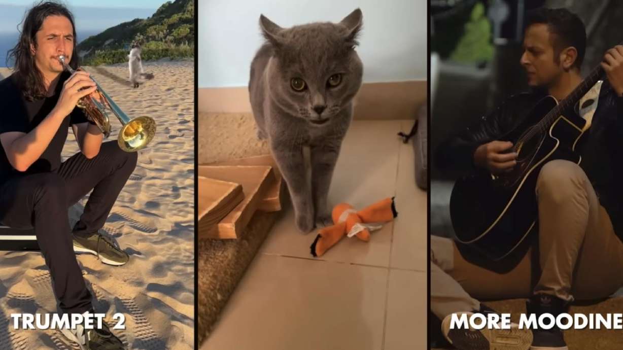 South African musician David Scott, left, plays trumpet in a song he produced tapping the "singing" of a Middle Eastern cat, middle. The growling cat provides the hook for the song, "Please go away."