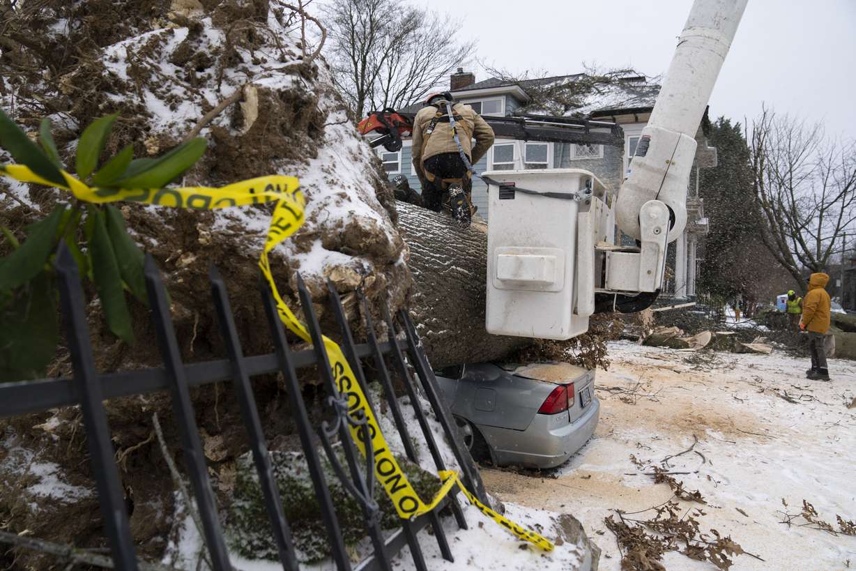 Chico Bunch, with the Oregon Department of Forestry, uses a chainsaw to cut a downed tree into smaller pieces after it fell on a car and a home on Saturday, Jan. 13, in Portland, Oregon.