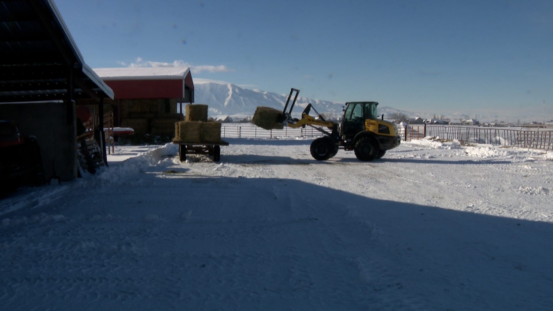 Joe Fuhriman, a fourth-generation rancher, moves bales of hay at his farm in Cache Valley.