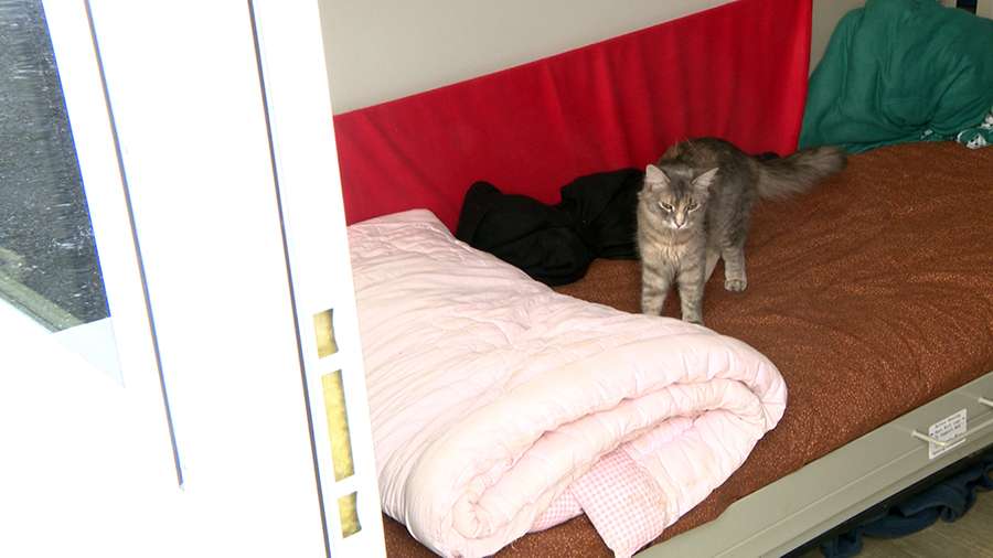 Micro shelters may offer part of the solution to helping Utahns who are experiencing homelessness.