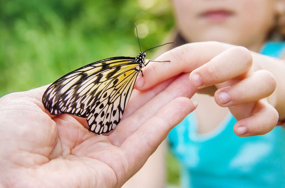 7 fun Utah Valley spots where you can escape the winter cold