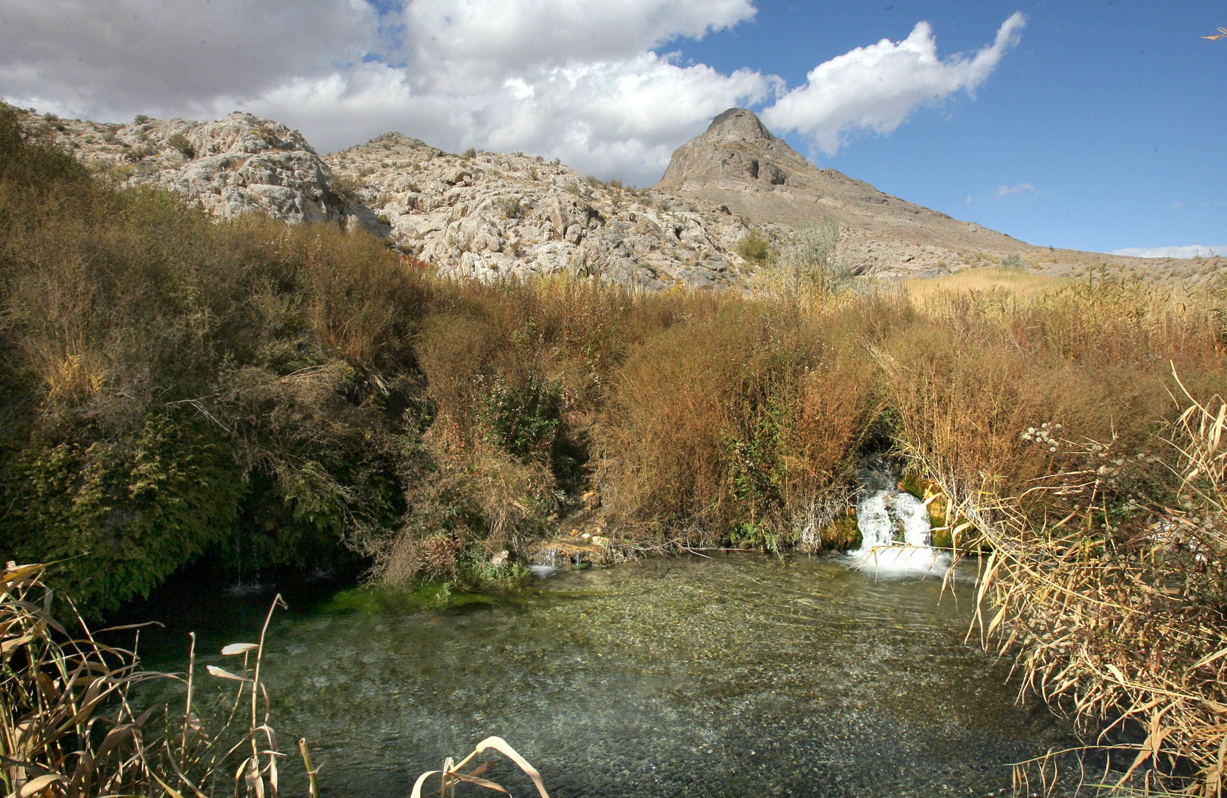 Water flows from a spring in the Snake Valley on April 2, 2014. On Thursday, a committee of lawmakers opted to let the Snake Valley Aquifer Advisory Council lapse.