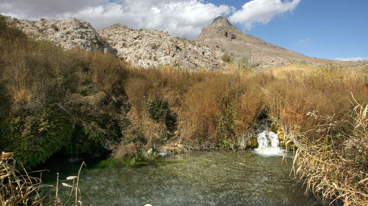 Water flows from a spring in the Snake Valley on April 2, 2014. On Thursday, a committee of lawmakers opted to let the Snake Valley Aquifer Advisory Council lapse.