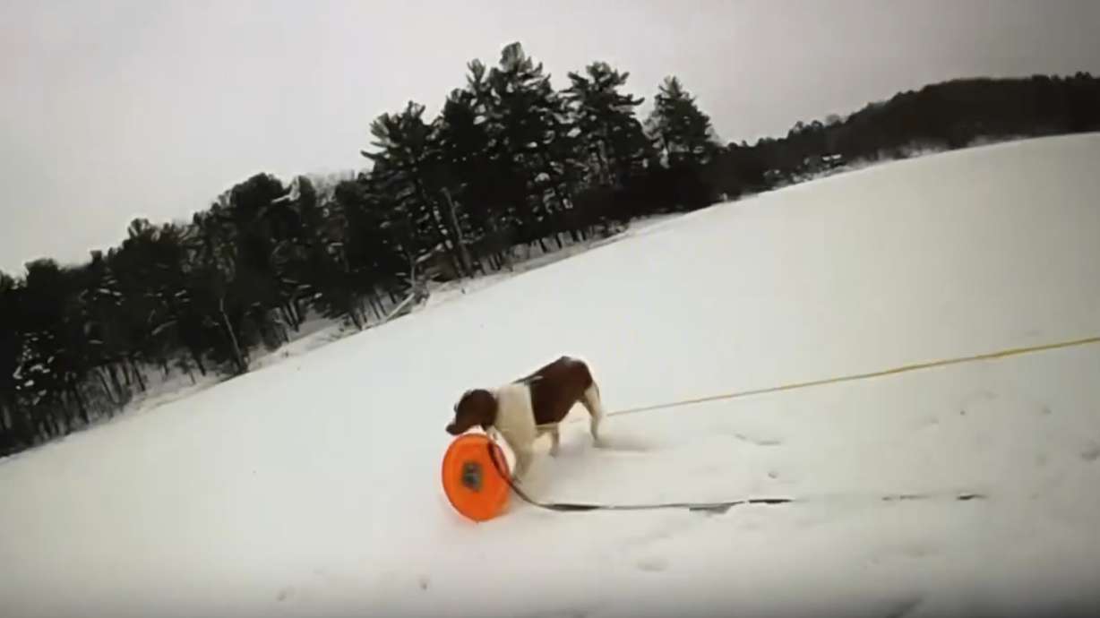 A dog named Ruby grasps a rescue disc tethered to a rope and takes it to her owner, who fell through the ice on a frozen lake in Traverse County, Mich., Jan. 18.