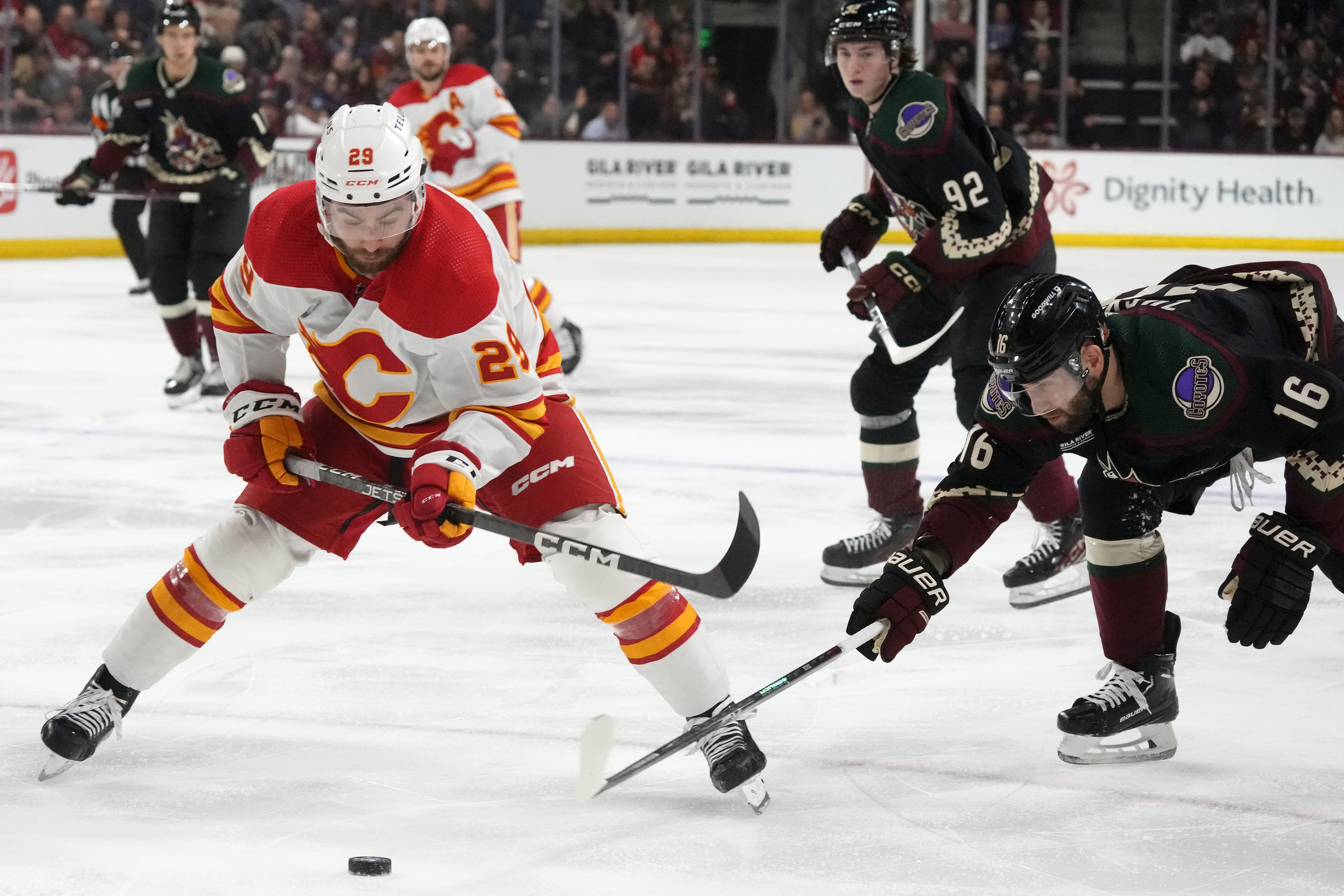 Calgary Flames center Dillon Dube (29) tries to keep the puck away from Arizona Coyotes left wing Jason Zucker (16) during the second period of an NHL hockey game Thursday, Jan. 11, 2024, in Tempe, Ariz. 