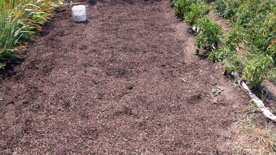 Utah lawmakers are being asked to consider human composting as another way to take care of those who have passed on.