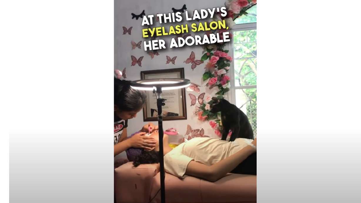 Cats do many interesting things, but some are more adorable than others. Among their better talents — making "biscuits."