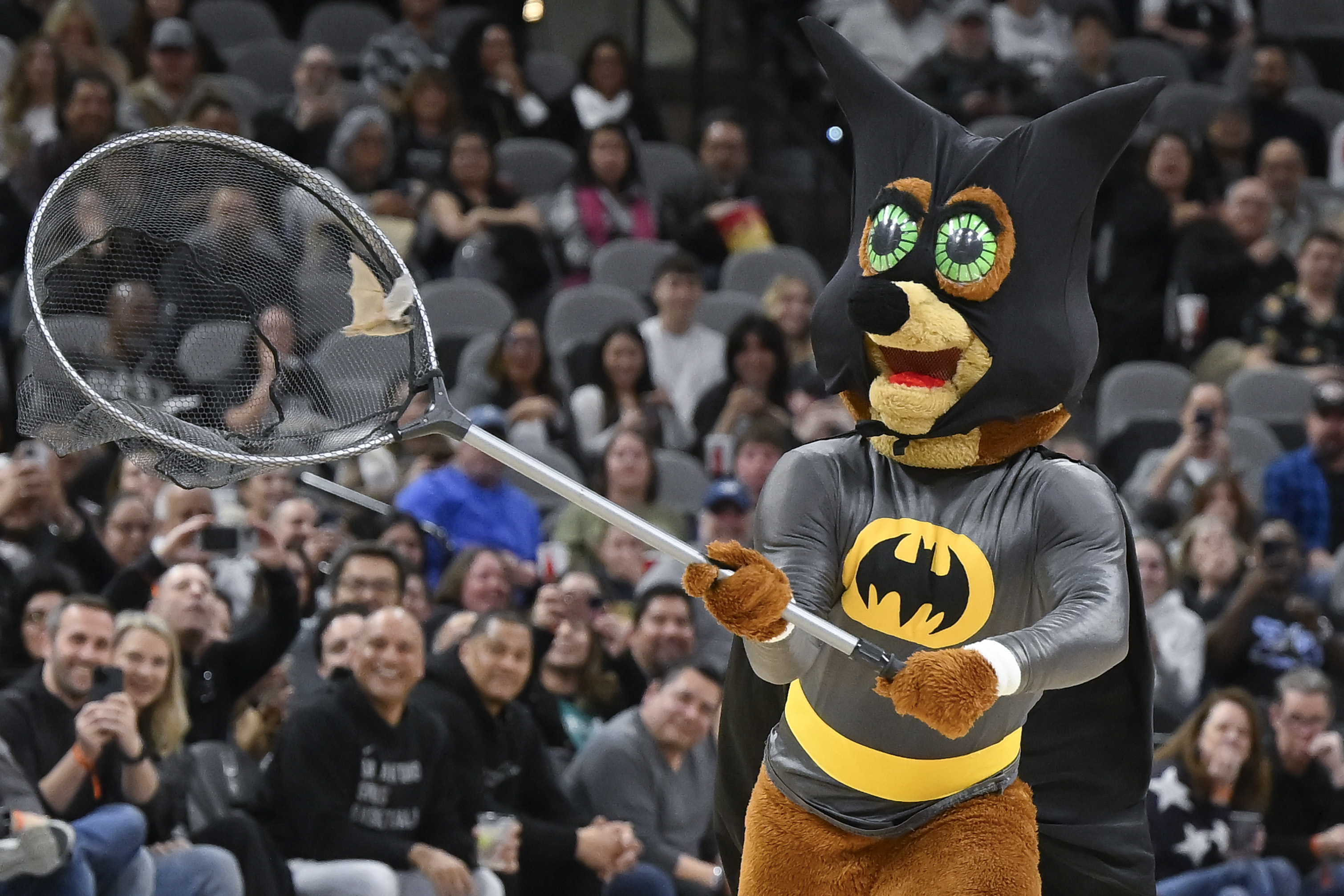 The San Antonio Spurs Coyote mascot captures a bat that flew onto the court during the first half of the Spurs' NBA basketball game against the Minnesota Timberwolves, Saturday, Jan. 27, 2024, in San Antonio. 