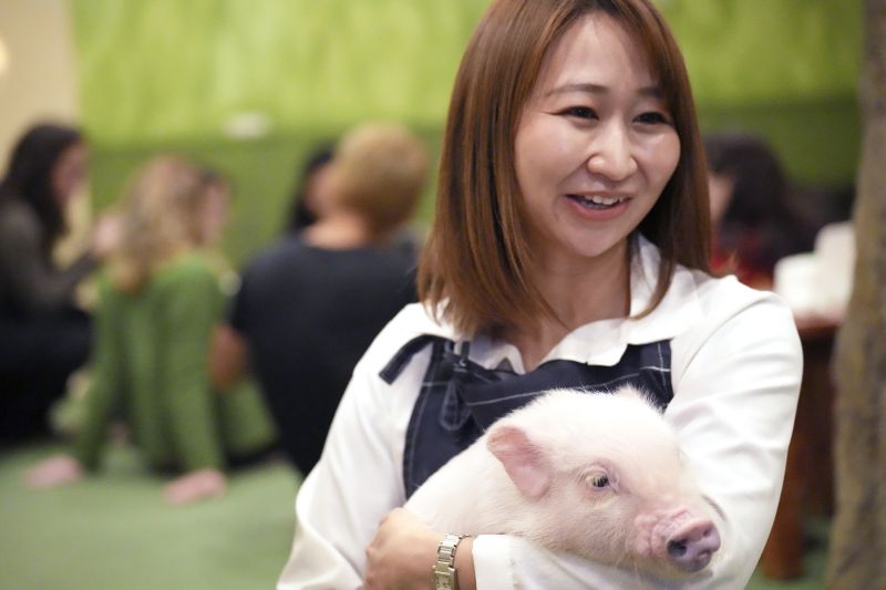 Shiho Kitagawa, an executive at a mipig cafe, holds a pig Jan. 24 in Tokyo. The dozens of people at Tokyo’s Mipig Café on a recent morning were taking selfies and breaking into huge smiles. The pigs, a miniature breed, trotted about the room, looking for a cozy lap to cuddle up. Customers pay $15 for the first 30 minutes and a reservation is required.