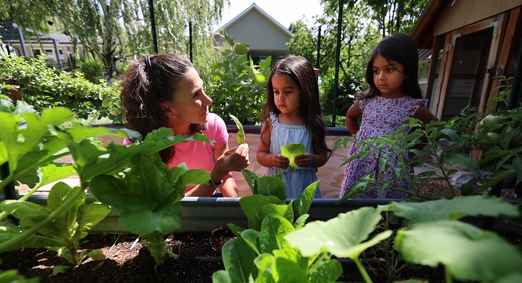 Dr. Bonnie Feola shows Mila and Arianna Gill some lettuce from her garden at her home in Salt Lake City on July 26, 2023. Living a healthy lifestyle can help keep your brain sharp into old age, doctors say.
