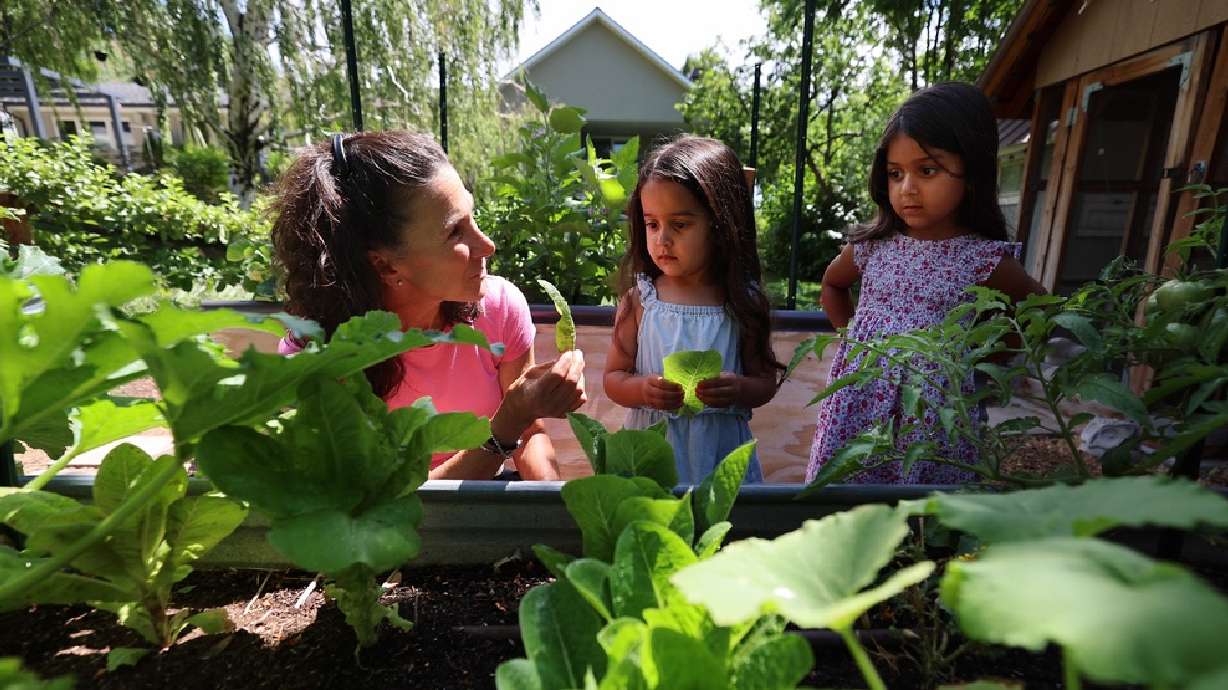 Dr. Bonnie Feola shows Mila and Arianna Gill some lettuce from her garden at her home in Salt Lake City on July 26, 2023. Living a healthy lifestyle can help keep your brain sharp into old age, doctors say.