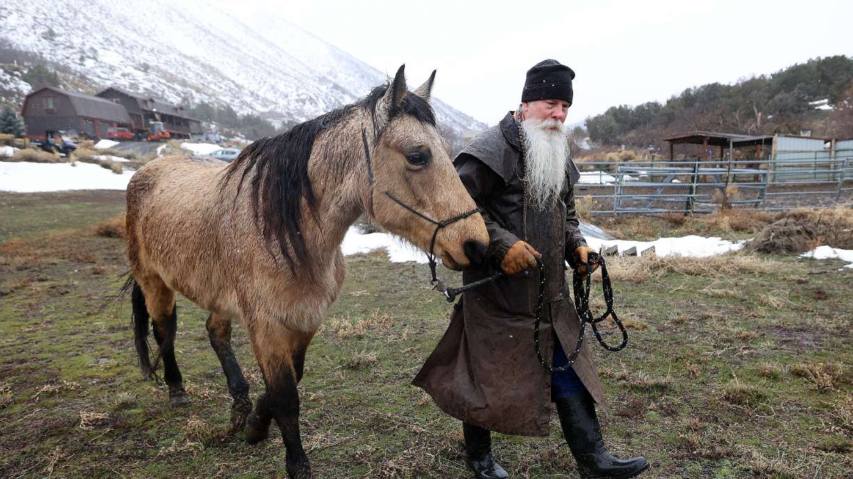 Dave Winters walks with his horse Wyoming Rose outside his home in Herriman on Monday. His buckskin mare is a cross between a quarter horse and Tennessee walker.