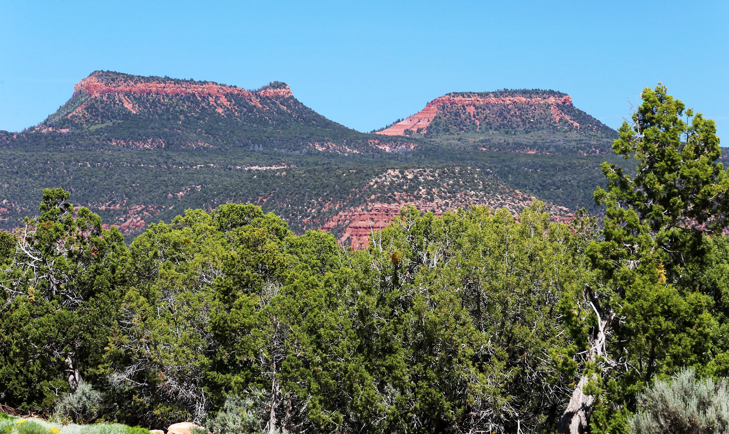 The Bears Ears area in southern Utah on June 2, 2016. Utah is withdrawing from negotiations over a possible land exchange of Utah school trust lands that were stranded within the newly constituted Bears Ears National Monument, saying the federal government has not acted in good faith and has even failed to ratify an agreement made nearly a year ago.