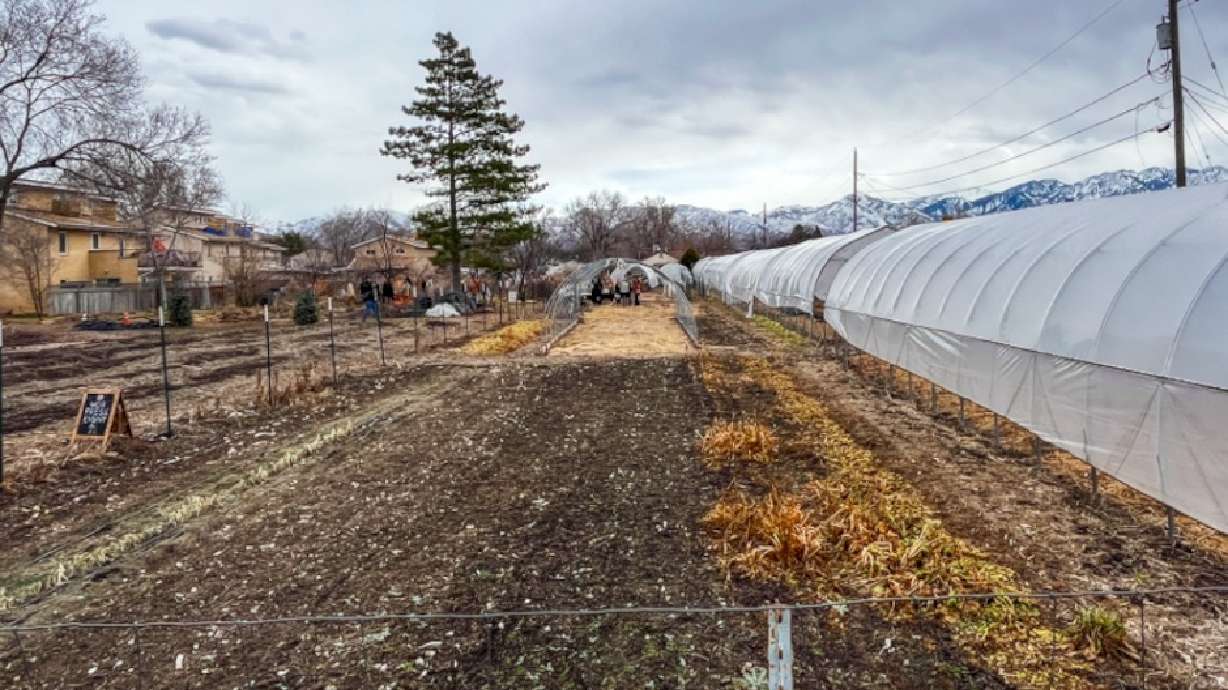 A conservation easement will protect the land where a farm in Salt Lake City's Glendale neighborhood that was recently acquired by Wasatch Community Gardens and Utah Open Lands.