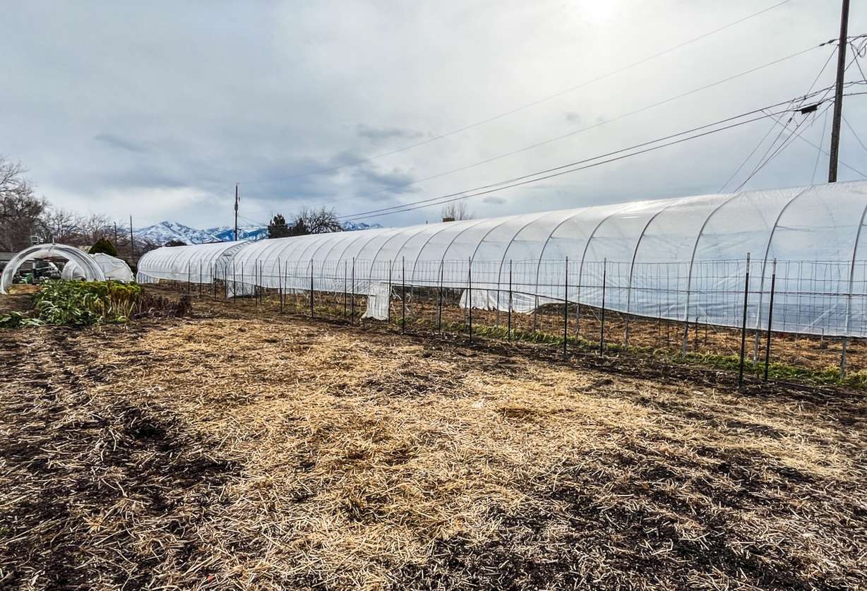 A farm that Wasatch Community Gardens and Utah Open Lands recently acquired in Salt Lake City's Glendale neighborhood on Tuesday.
