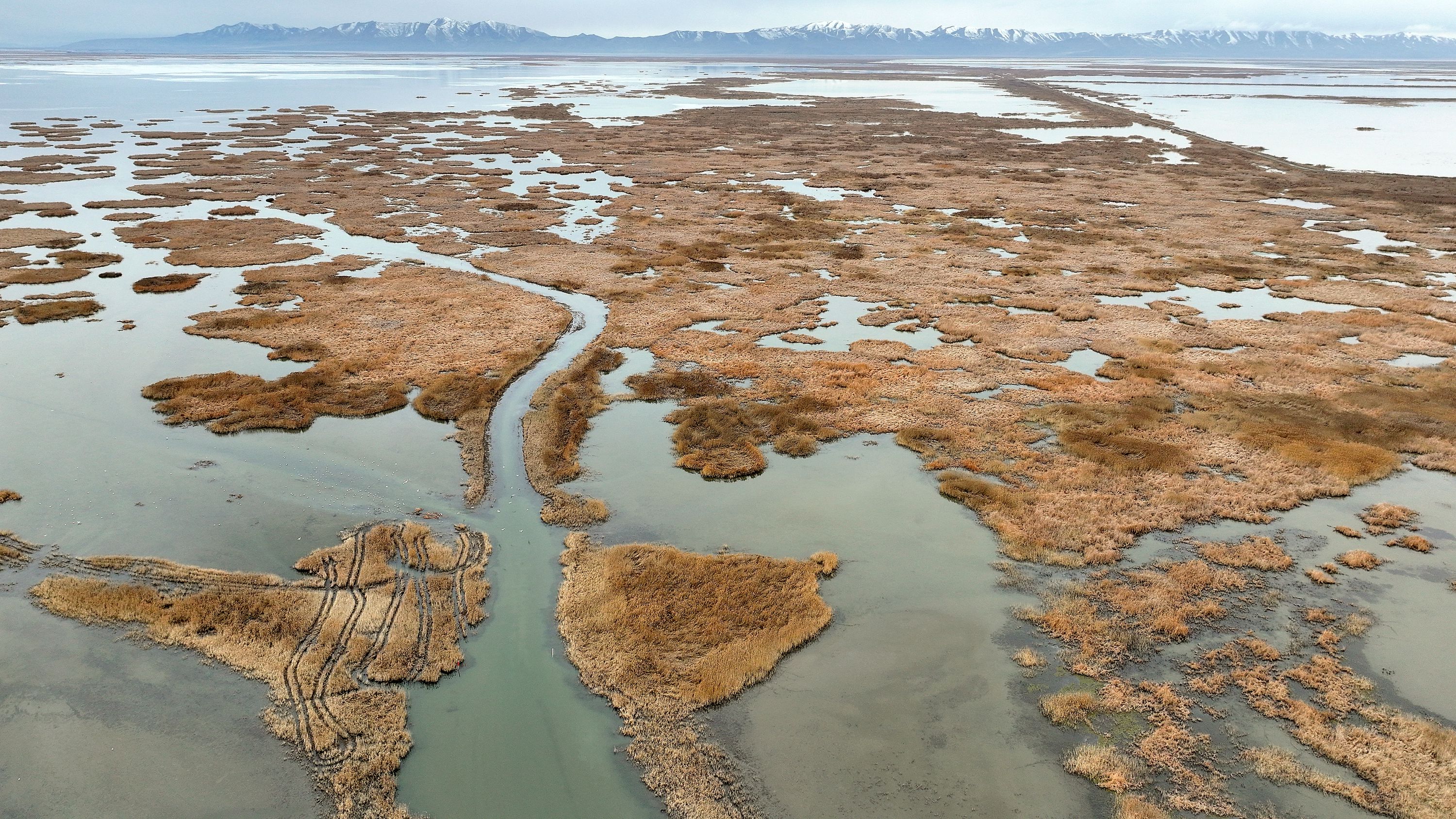 The Willard Spur Waterfowl Management Area near the Great Salt Lake is pictured in Box Elder County on Tuesday. Willard Spur is in desperate need of water, and so is Ogden.